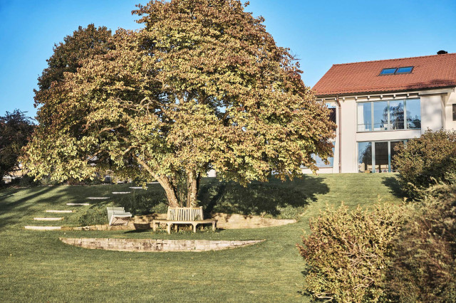 Haus am See (Photo 29)